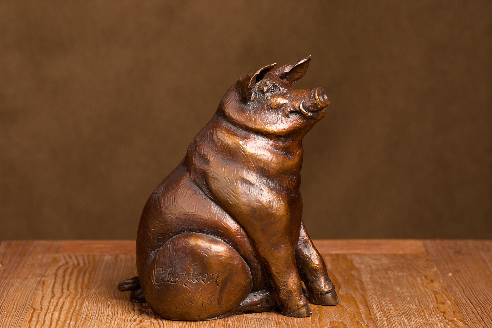 Happy Hog - Realist Sculpture by Cammie Lundeen