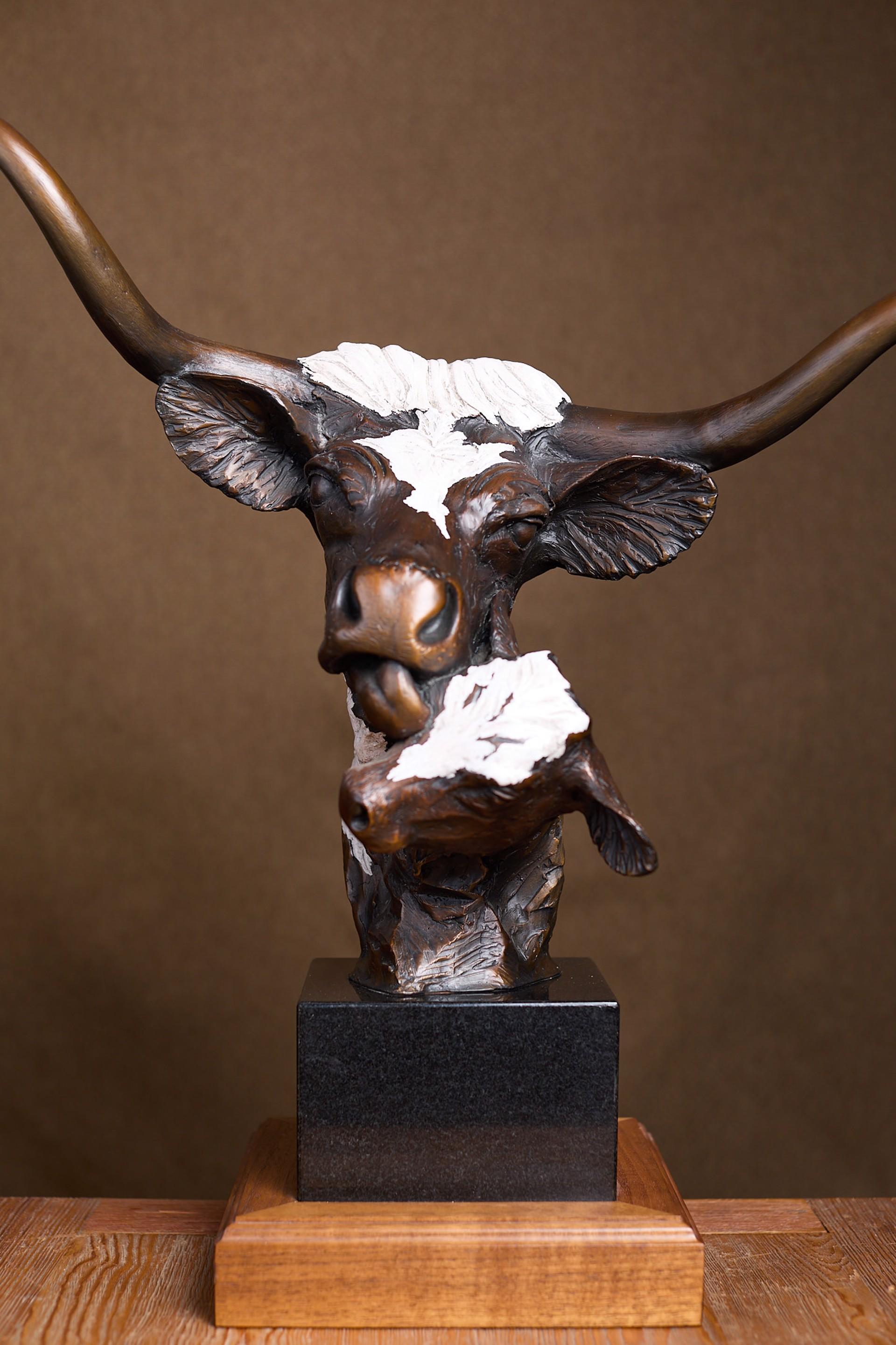 Lazo de vaca Longhorn