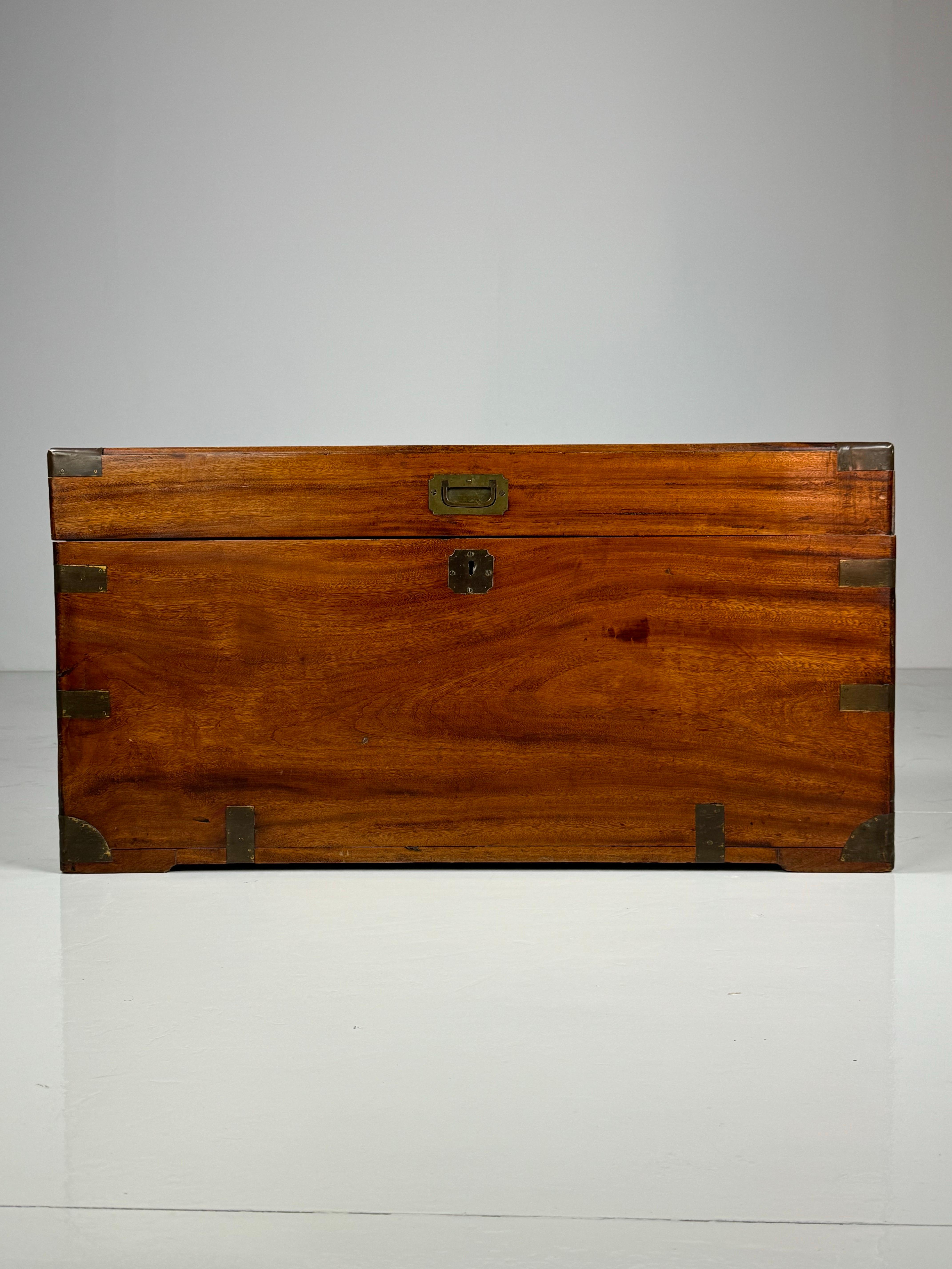 Campaign chest Camphor 5