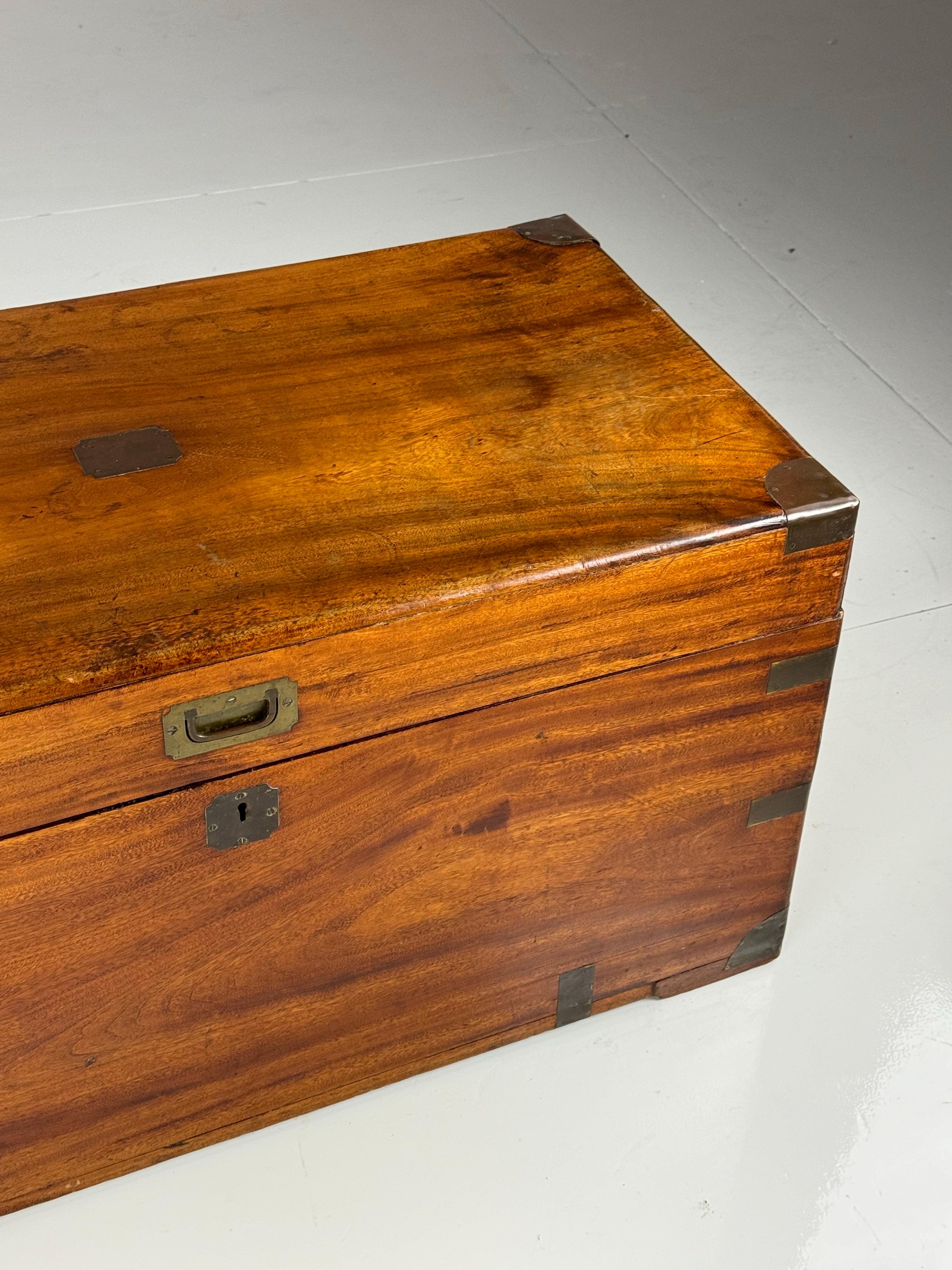 Campaign chest Camphor 10
