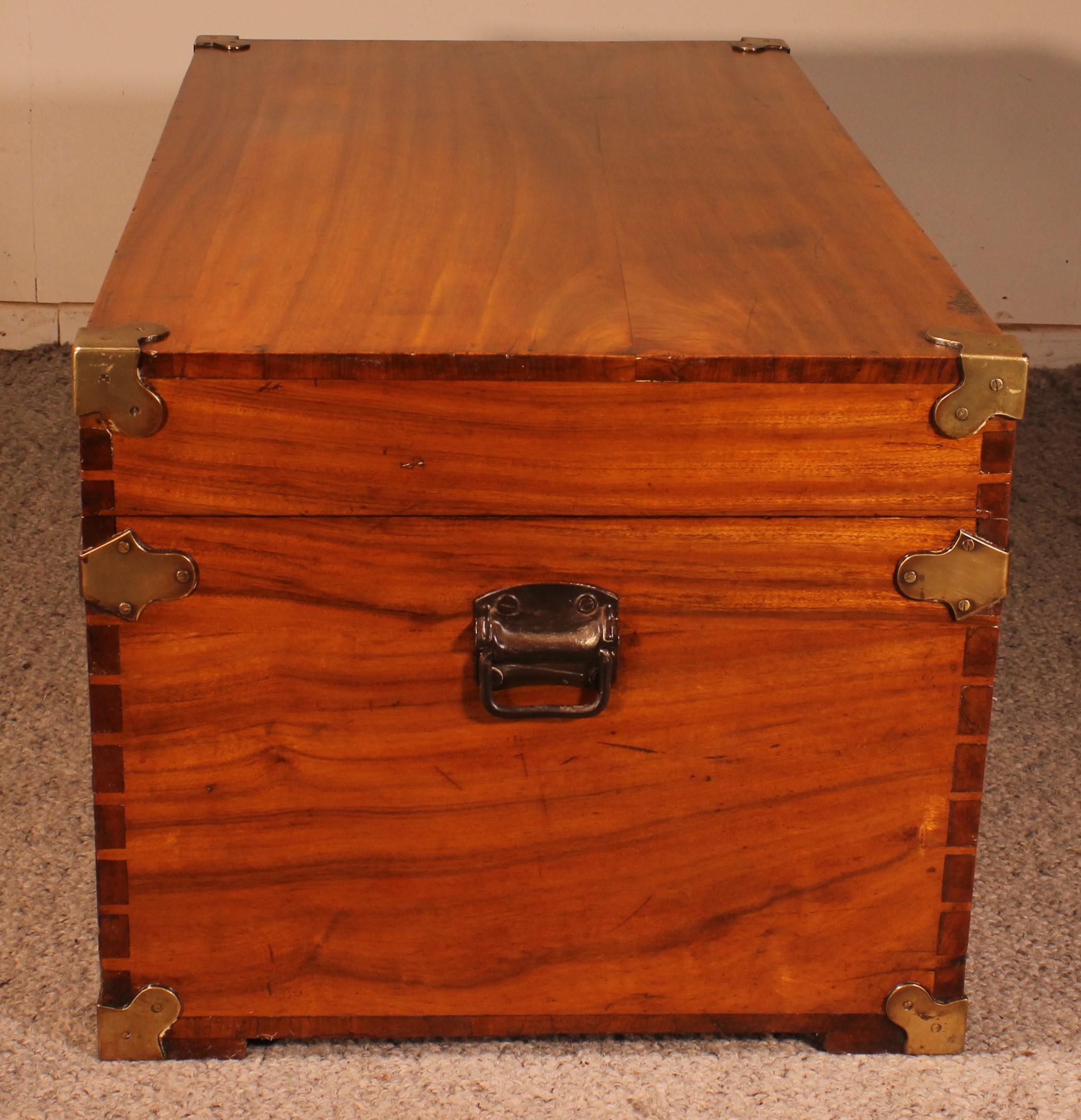 Campaign Chest In Camphor Camphor Wood For Sale 1