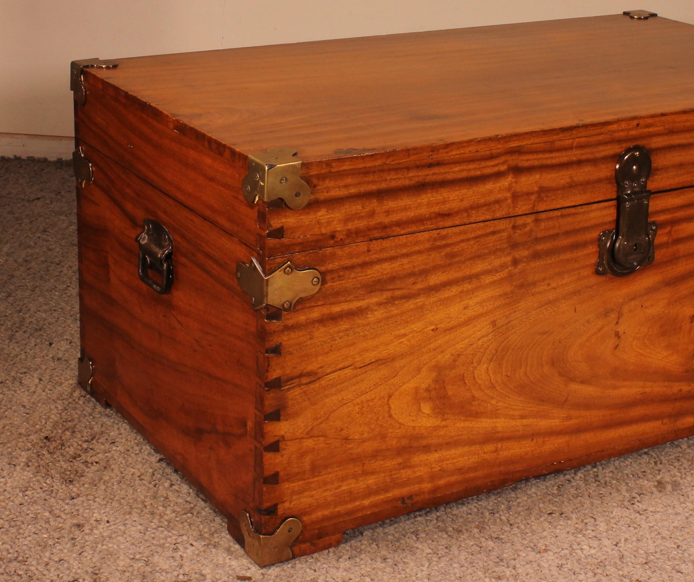 Campaign Chest In Camphor Camphor Wood For Sale 2