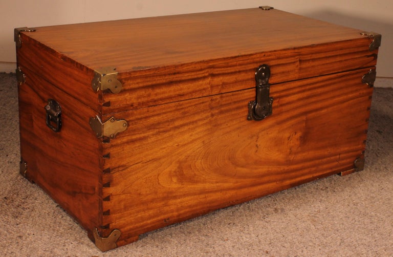 Campaign Chest In Camphor Camphor Wood For Sale at 1stDibs