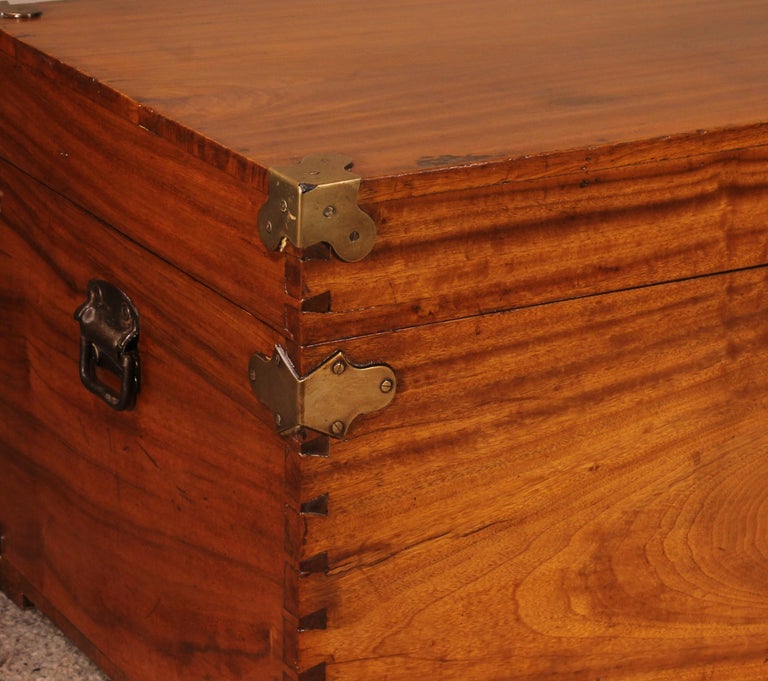 Campaign Chest In Camphor Camphor Wood For Sale at 1stDibs