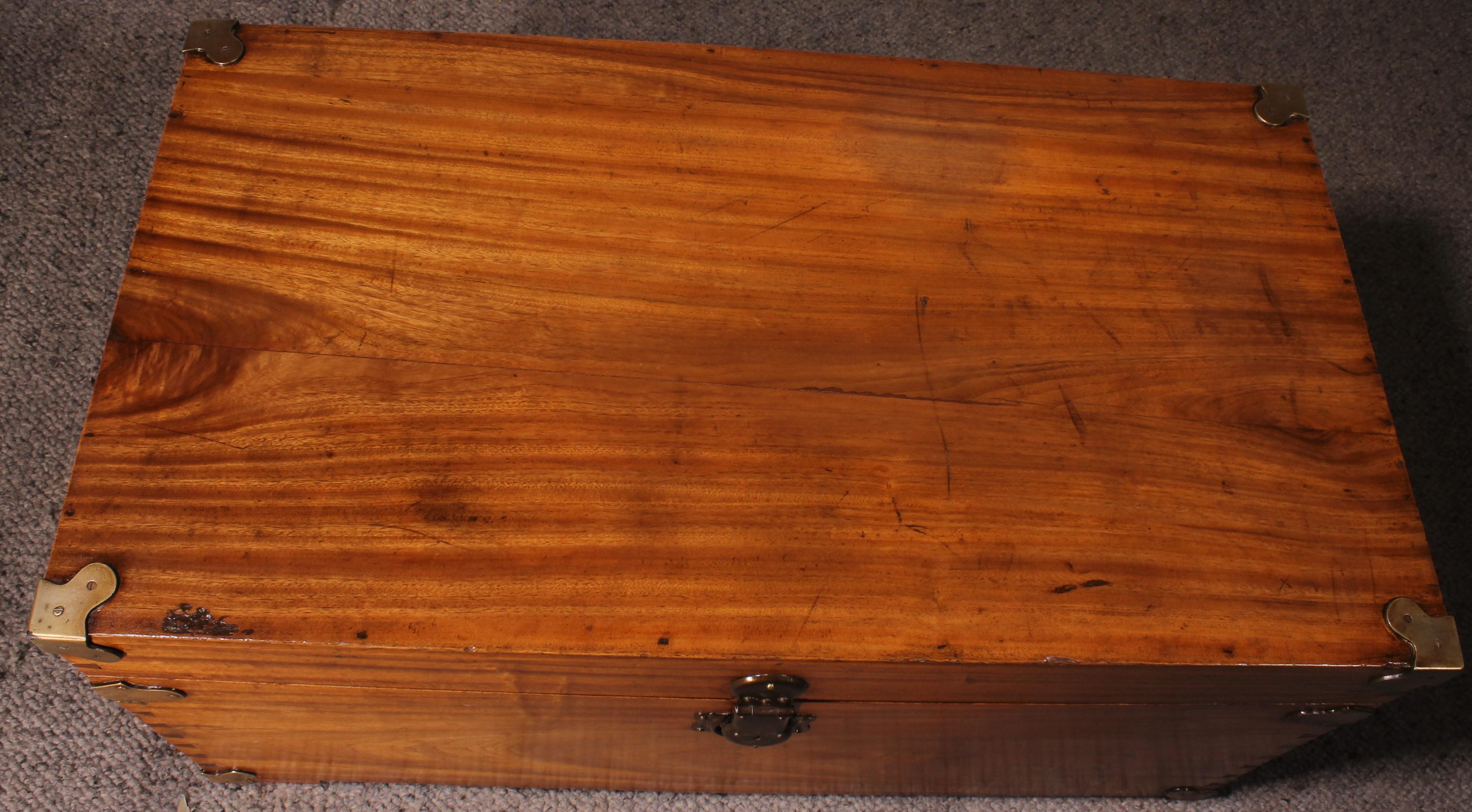 Campaign Chest In Camphor Camphor Wood For Sale 5