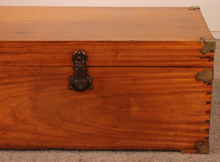 Campaign Chest In Camphor Camphor Wood For Sale at 1stDibs