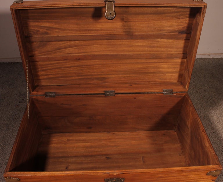 Campaign Chest In Camphor Camphor Wood For Sale at 1stDibs