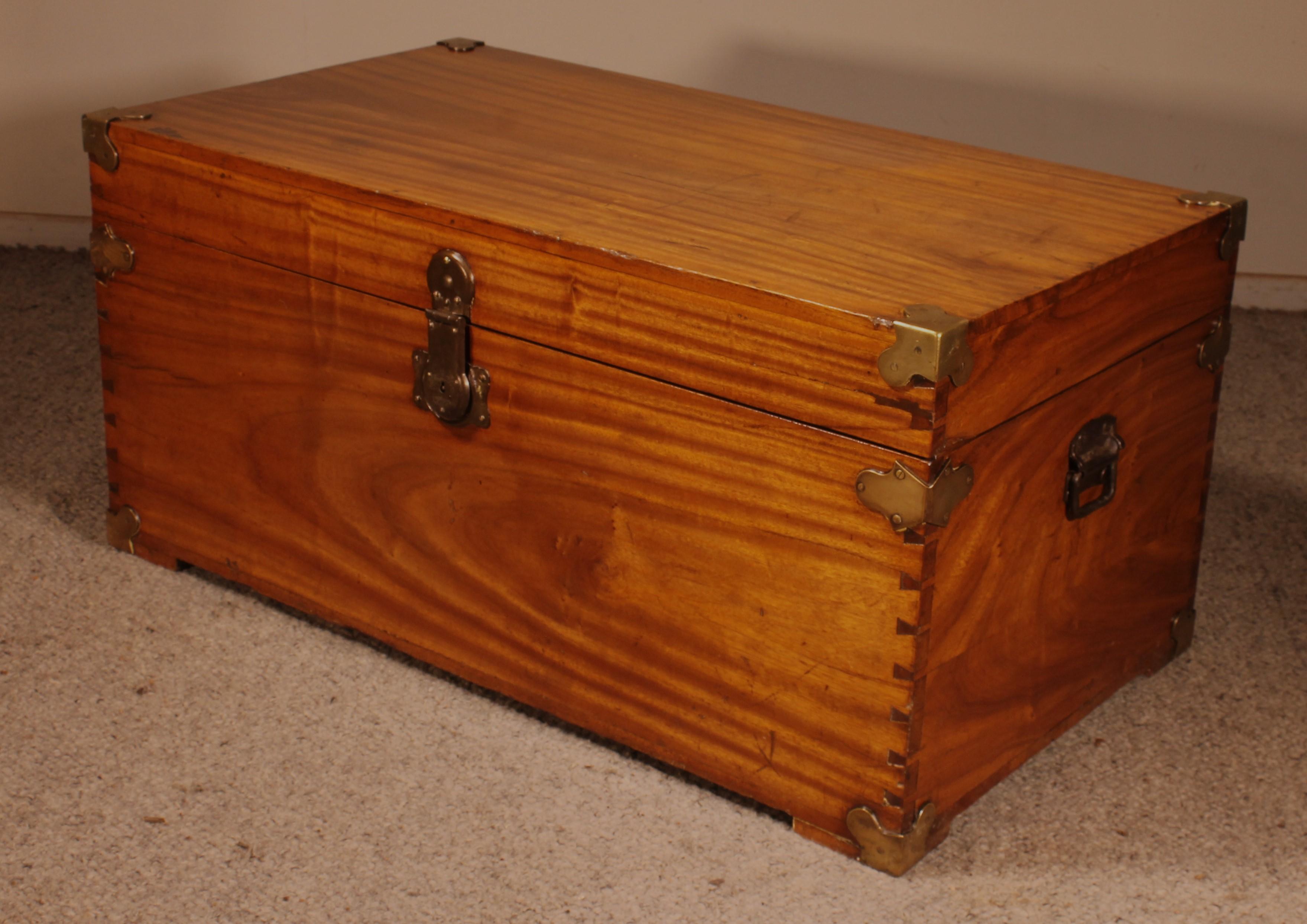 British Campaign Chest In Camphor Camphor Wood For Sale