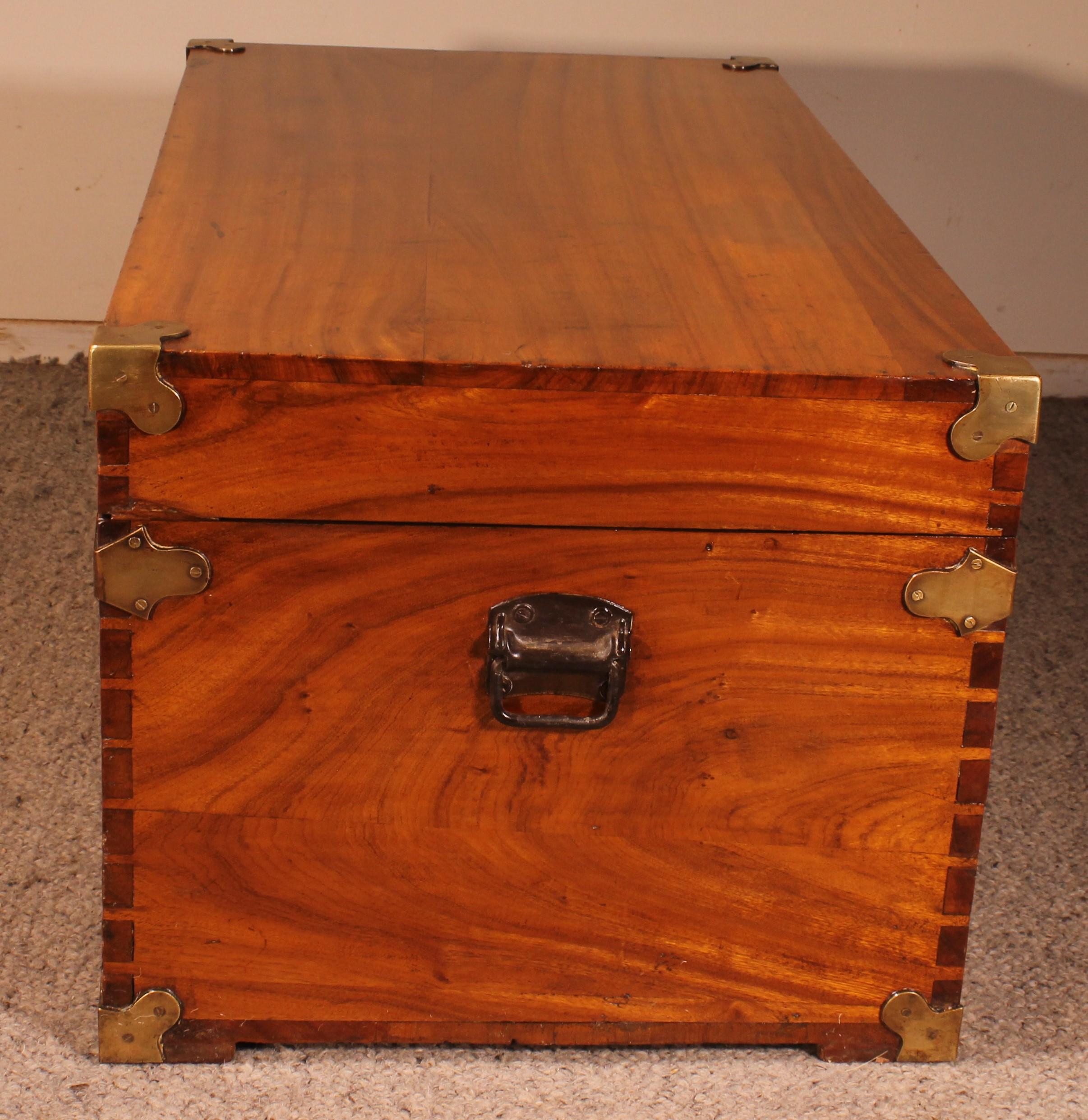 20th Century Campaign Chest In Camphor Camphor Wood For Sale