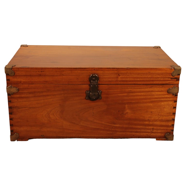 Campaign Chest In Camphor Camphor Wood For Sale at 1stDibs