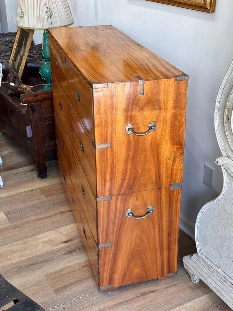 Sconosciuto Cassapanca Campaigner in legno di canfora, Anglo-Indiana, metà del XIX secolo in vendita