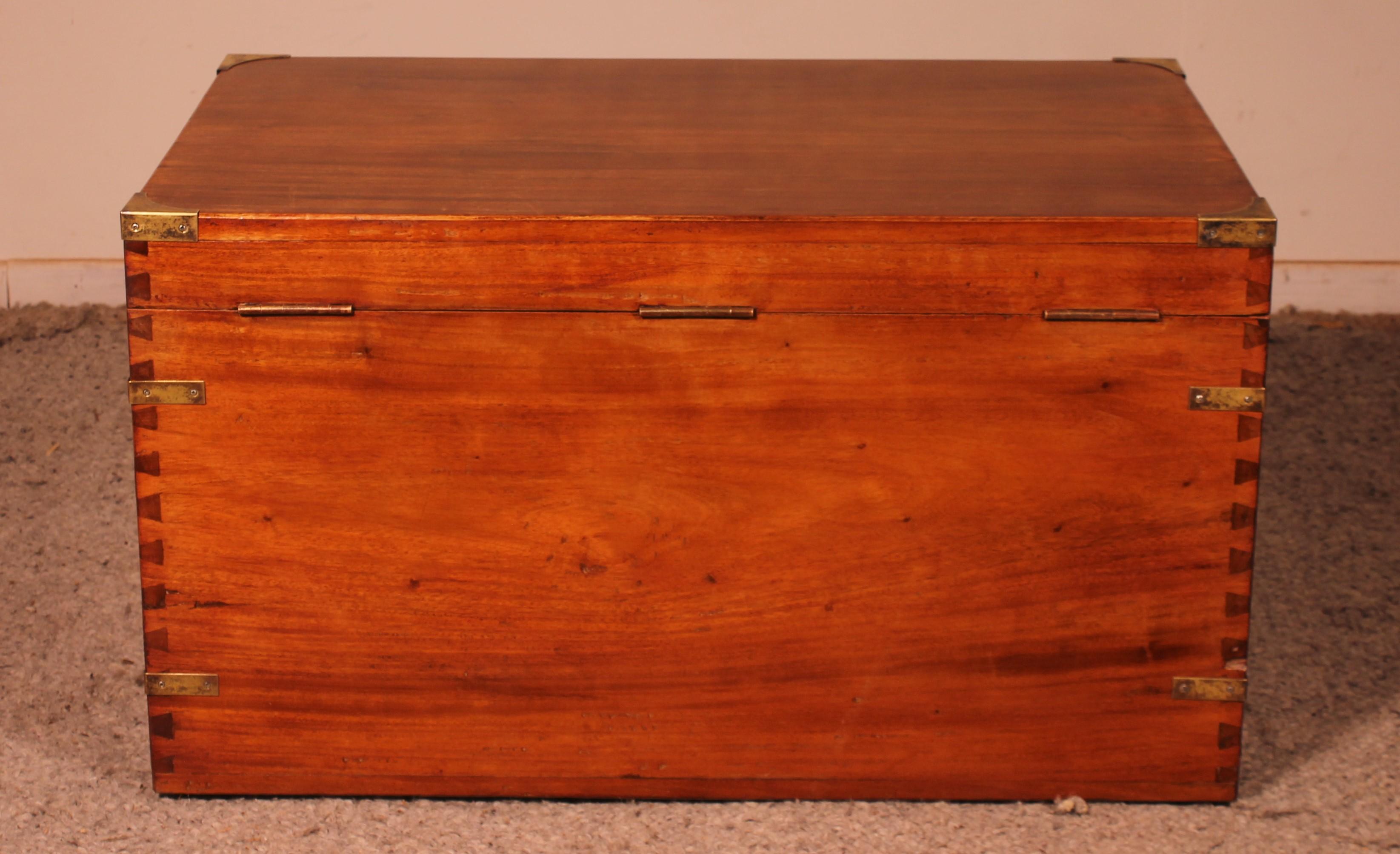 Campaign Chest or Marine Chest in Camphor Wood circa 1900, England 2
