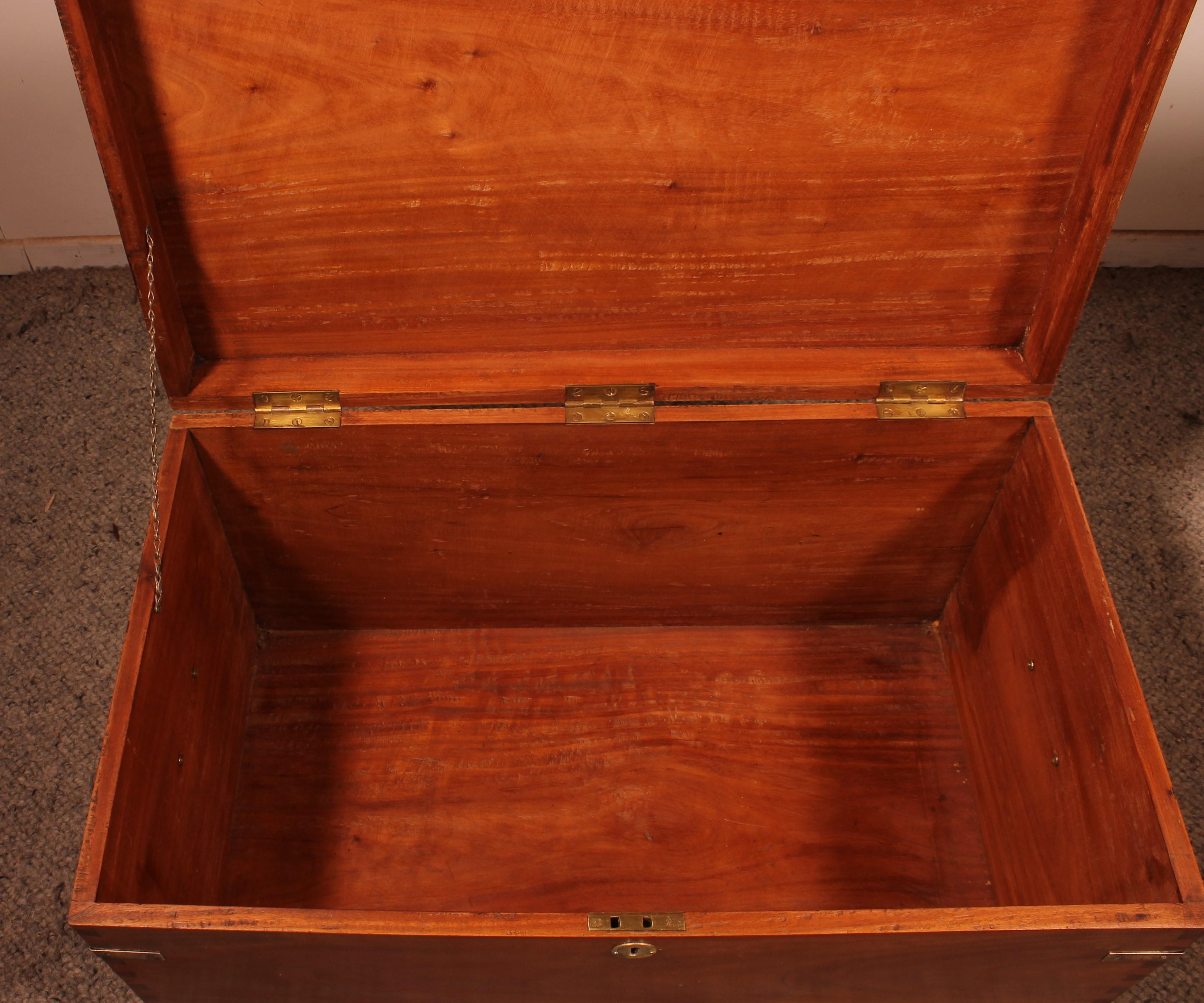 Campaign Chest or Marine Chest in Camphor Wood circa 1900, England 4