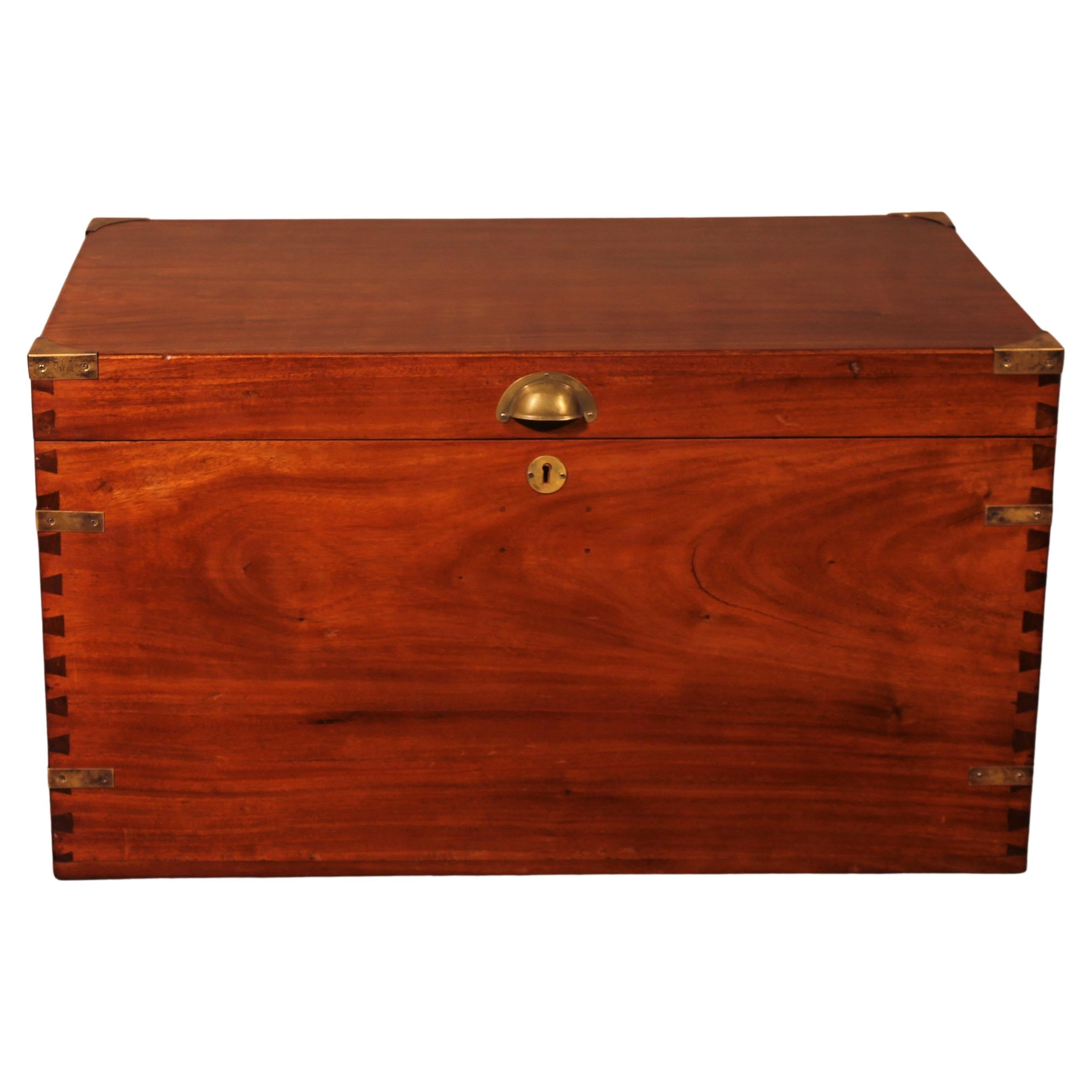 Campaign Chest or Marine Chest in Camphor Wood circa 1900, England
