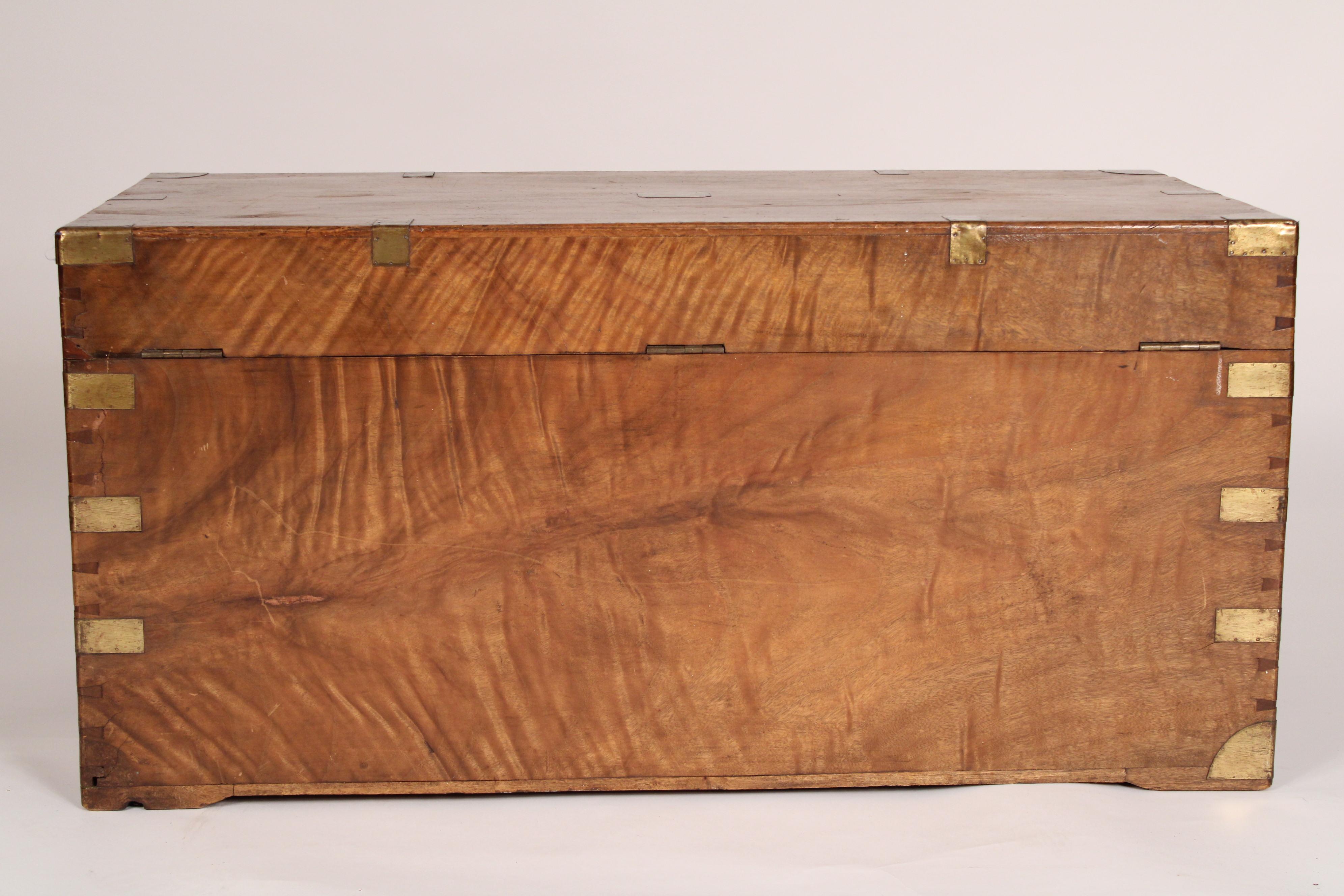 Early 20th Century Campaign Style Brass Mounted Camphor Wood Trunk