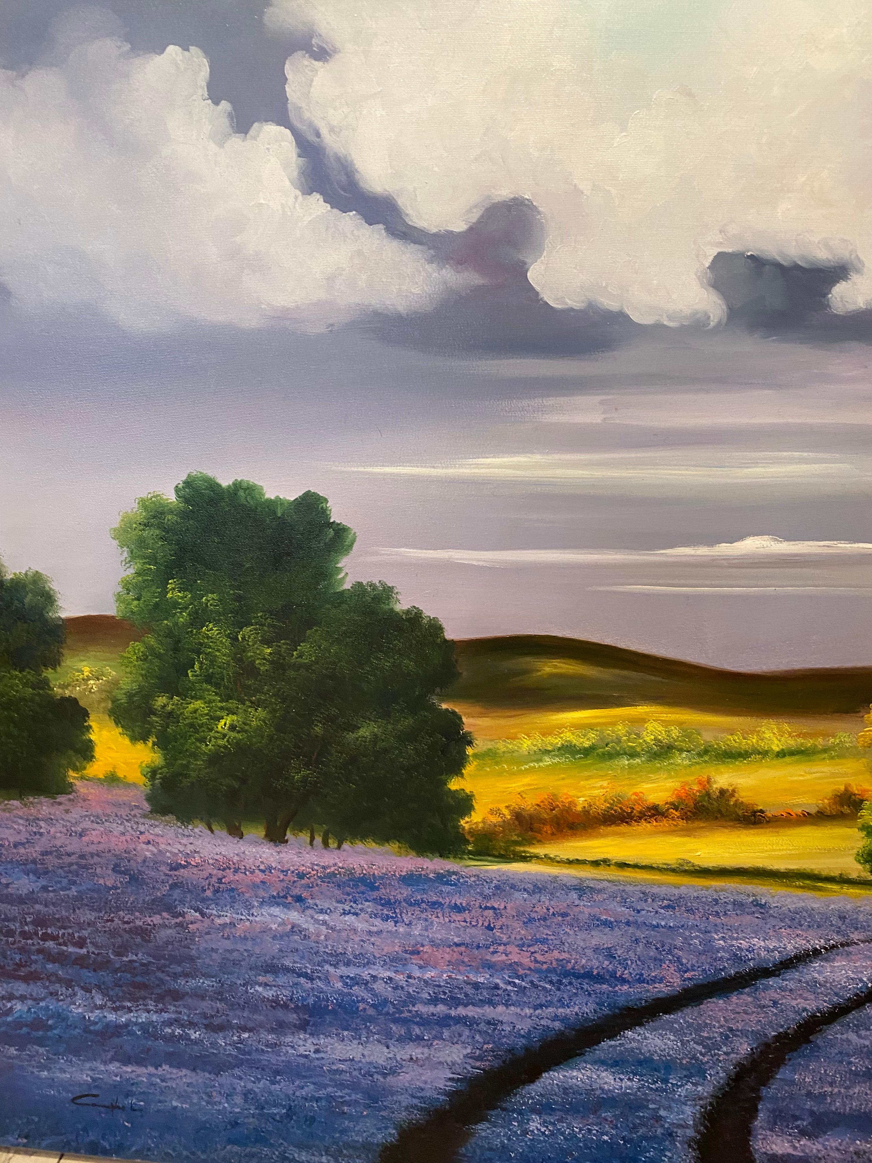 'Lavender Fields' by Campbell is a stunning rural landscape with rolling hills down to the sea. The beautiful vivid colour palette of the foreground is strong and makes for a composition that is fiery and bold. A huge pop of blue ump off the wall.