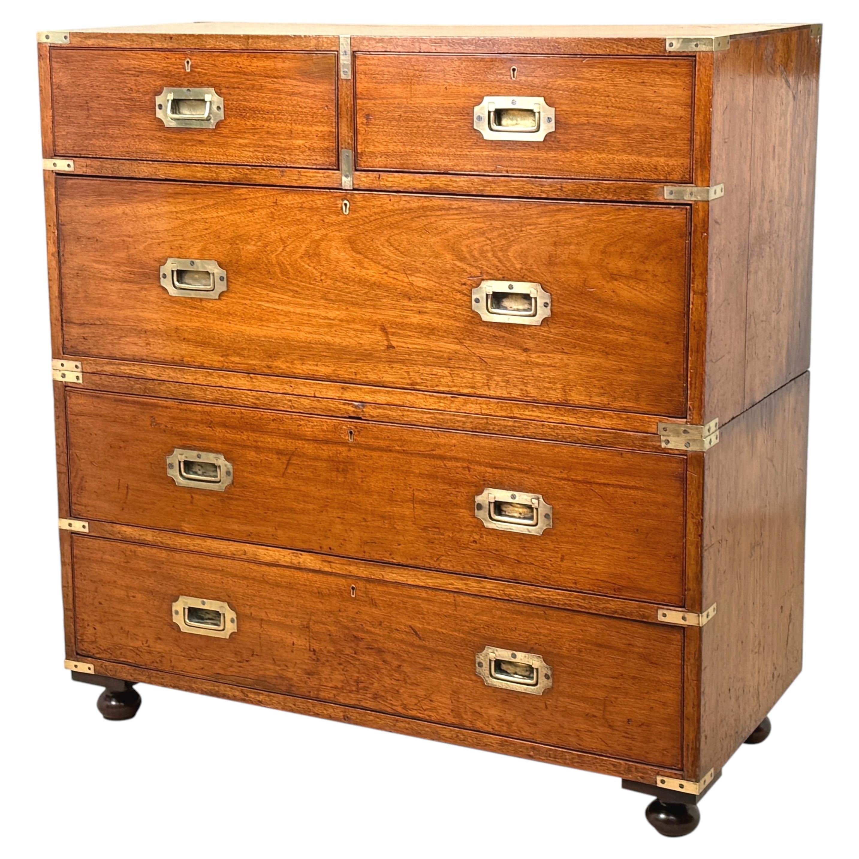 Camphor Wood 19th Century Military Campaign Chest Of Drawers For Sale