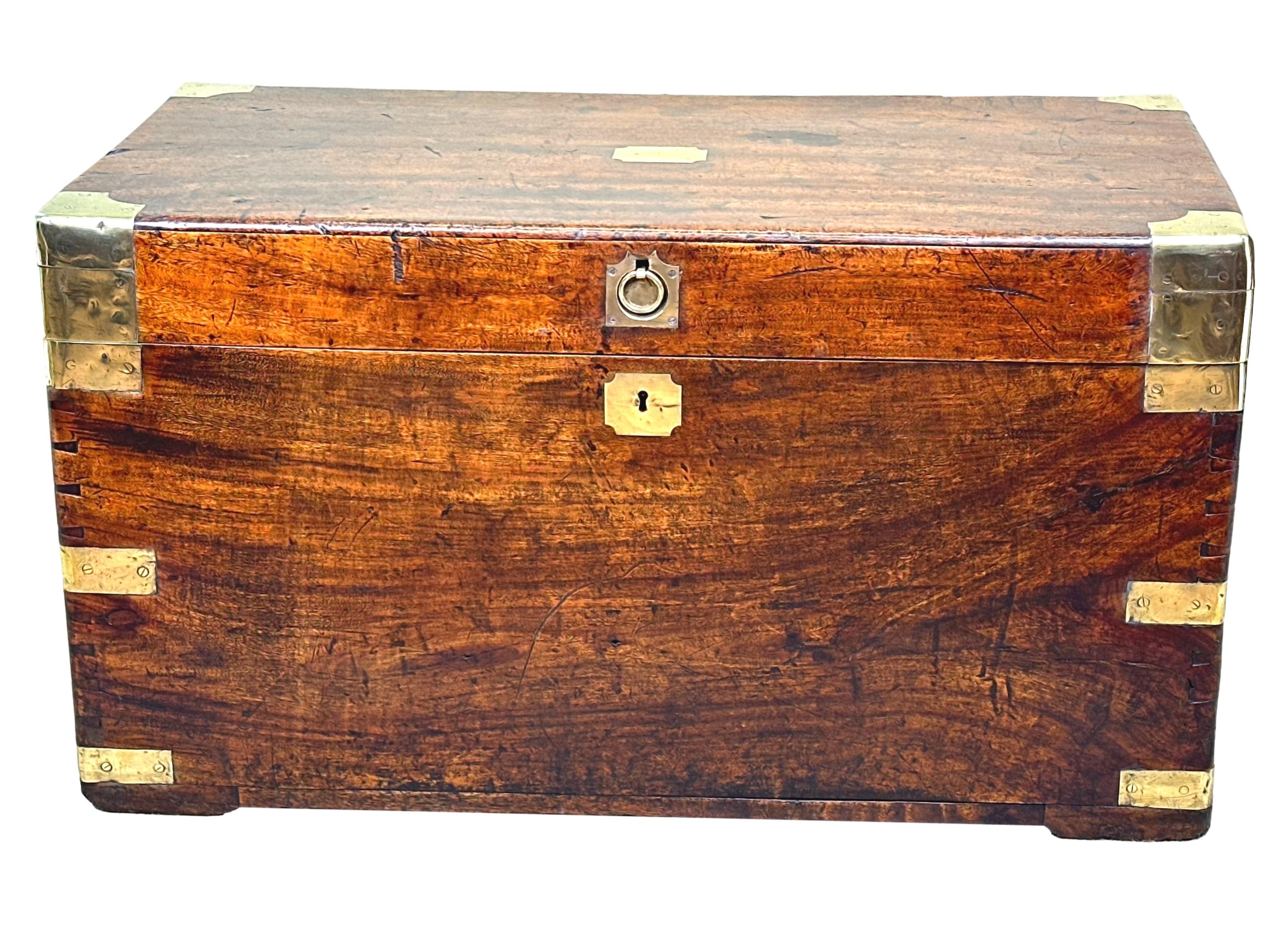 Camphor Wood 19th Century Military Campaign Trunk 7