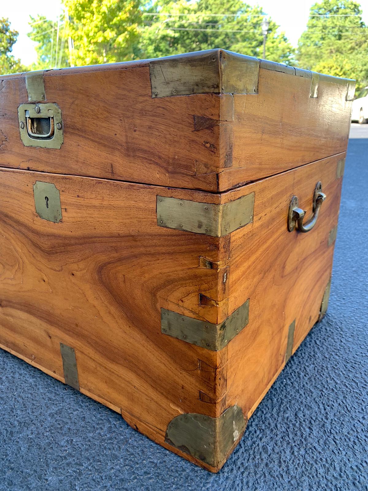 Camphor Wood and Brass Campaign Trunk, circa 1820s 5
