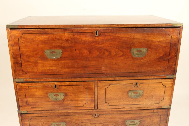 Camphor Wood Campaign Desk / Chest at 1stDibs