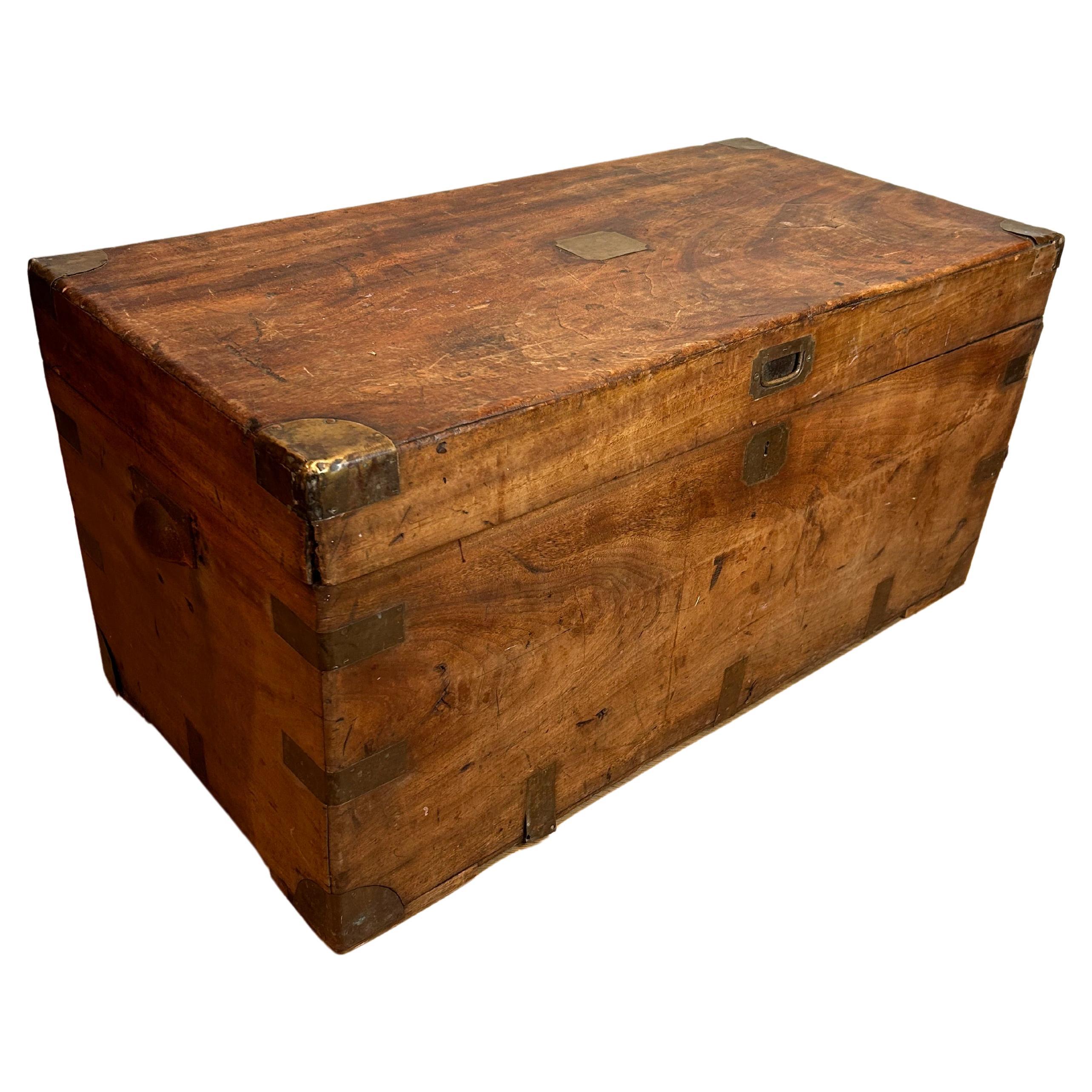 Camphor-Holz-Kampagnentruhe/Truhe mit Messingbeschlägen und Traggriffen aus Holz, 1880