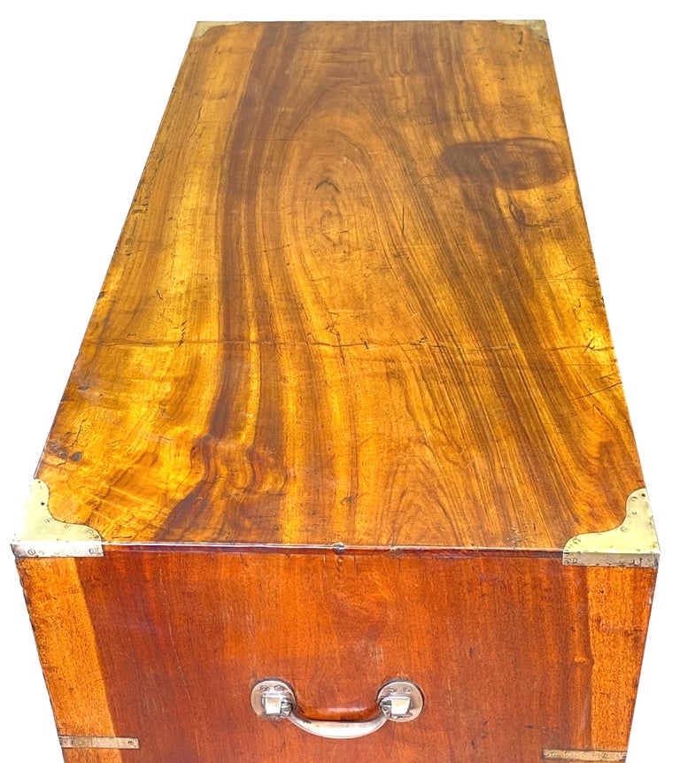 English Camphor Wood Military Campaign Chest Of Drawers For Sale