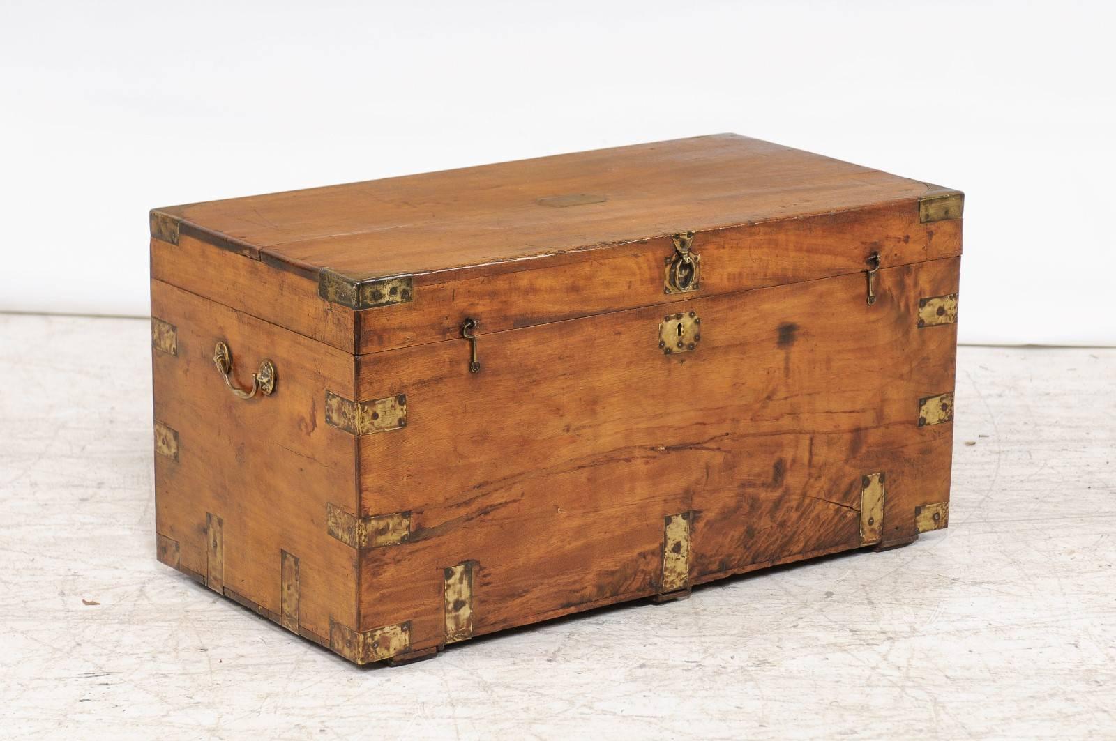 Chinese Export Camphor Wood Trunk Made for the English Market with Brass Hardware, circa 1880