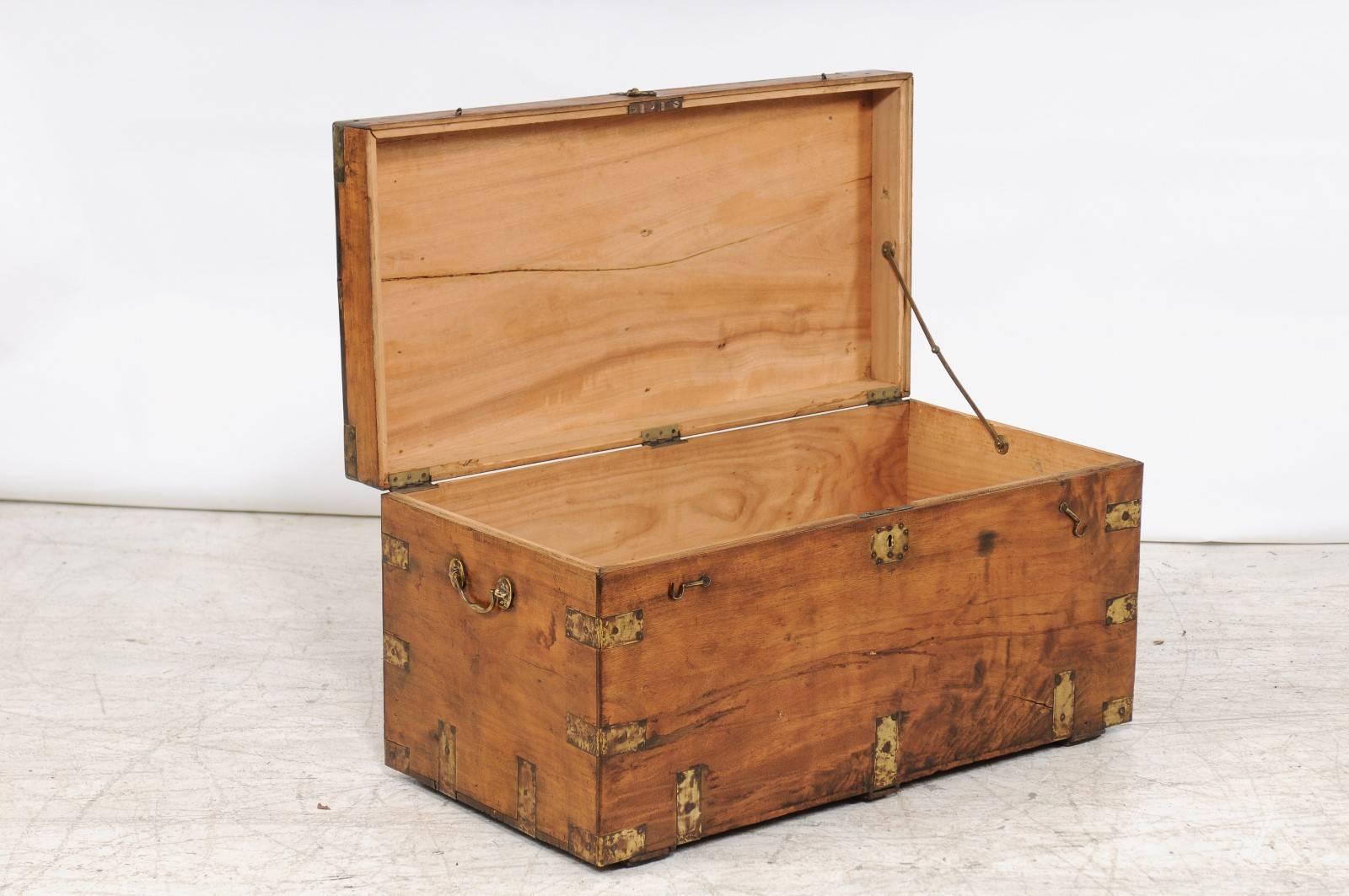 Chinese Camphor Wood Trunk Made for the English Market with Brass Hardware, circa 1880