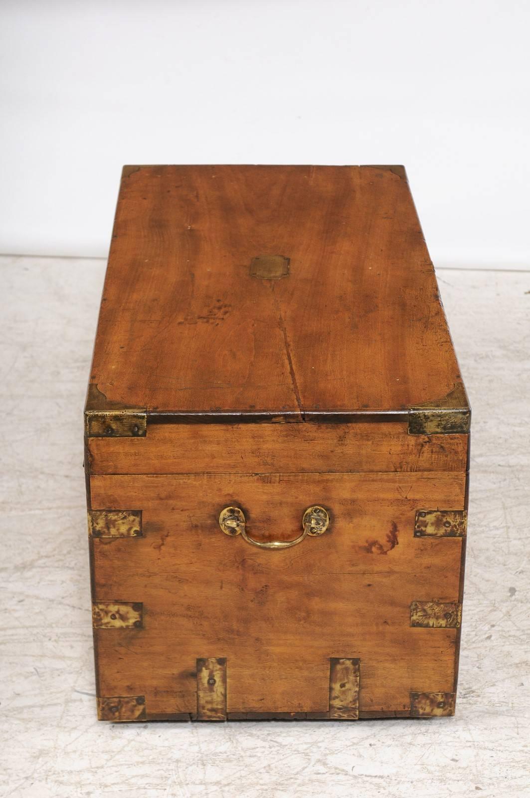 19th Century Camphor Wood Trunk Made for the English Market with Brass Hardware, circa 1880