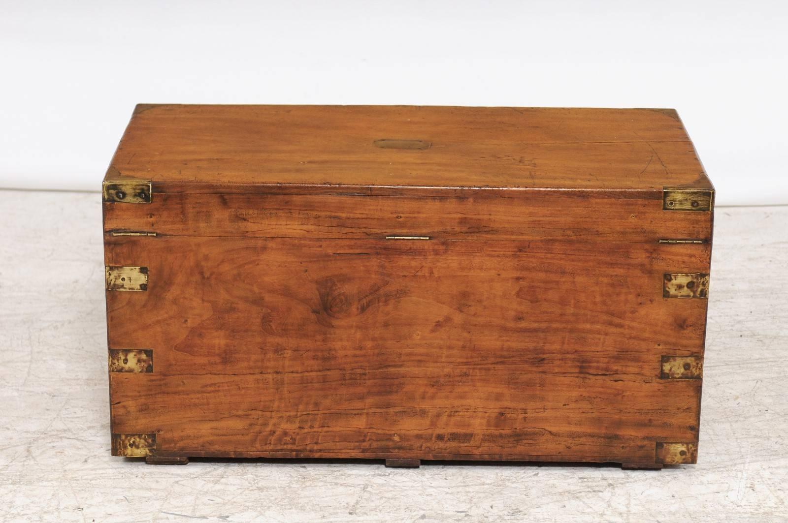 Camphor Wood Trunk Made for the English Market with Brass Hardware, circa 1880 1