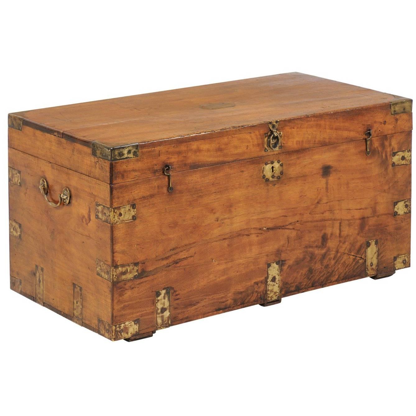 Camphor Wood Trunk Made for the English Market with Brass Hardware, circa 1880