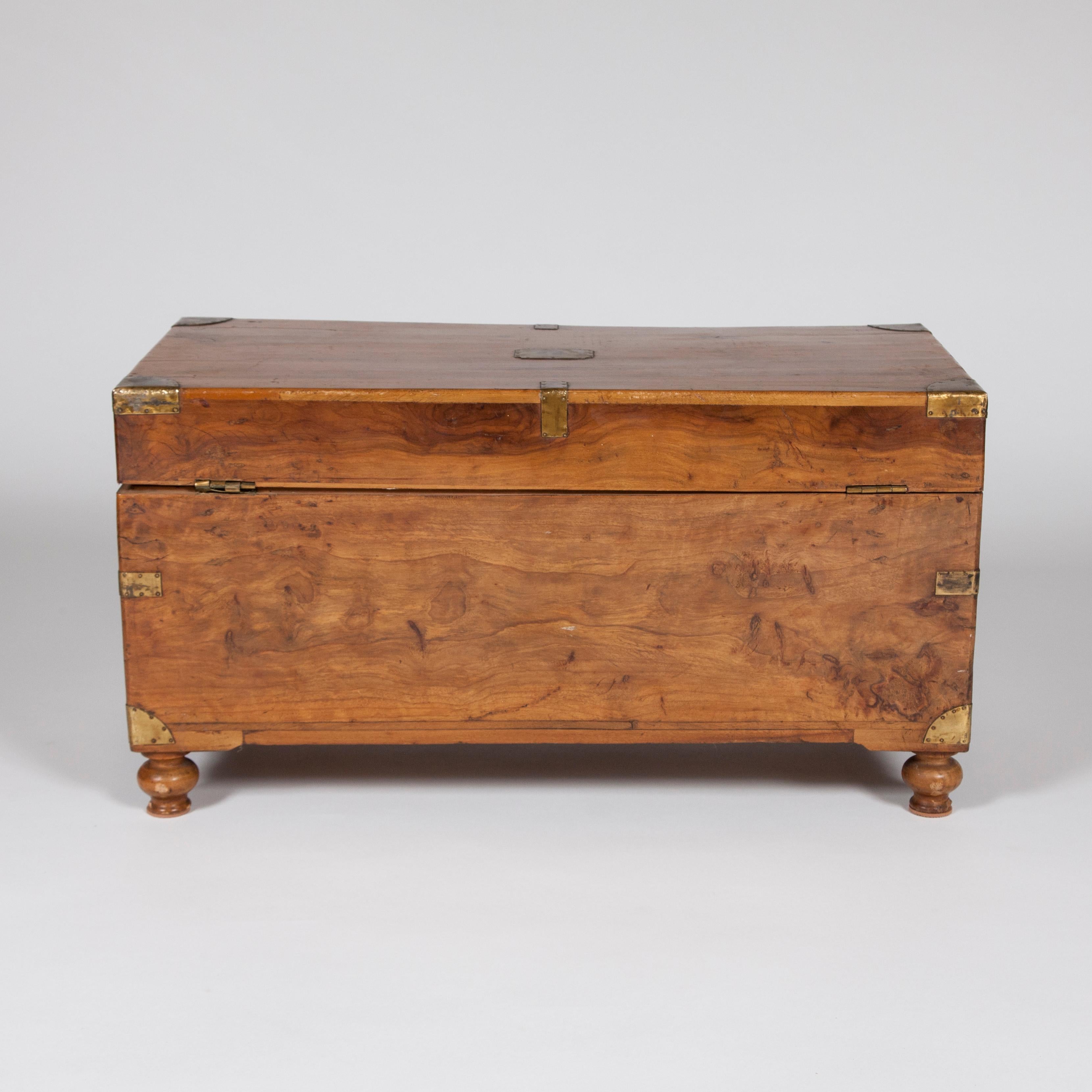 English Camphor Wood Trunk with Hinged Lid, Brass Handles and Mounts, on Turned Feet