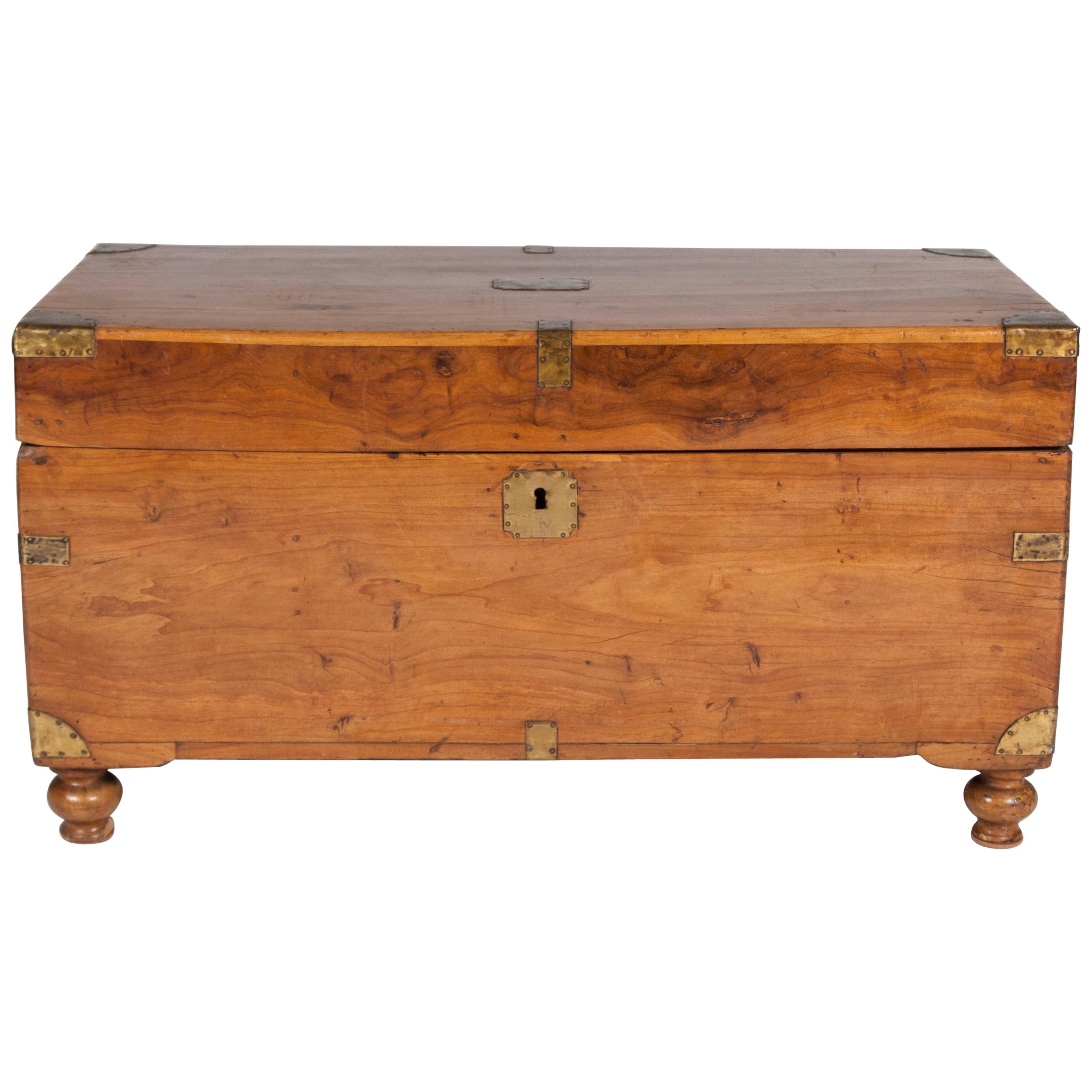 Camphor Wood Trunk with Hinged Lid, Brass Handles and Mounts, on Turned Feet