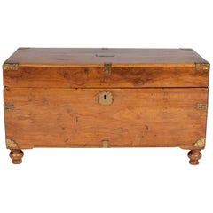 Antique Camphor Wood Trunk with Hinged Lid, Brass Handles and Mounts, on Turned Feet