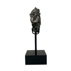 Campo Meteorite