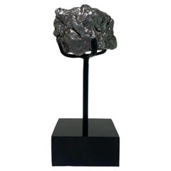 Campo Meteorite