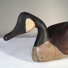 Canada Goose Decoy