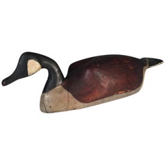 Canada Goose Decoy