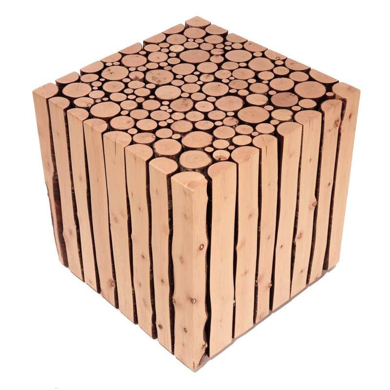 Branch Cube Canadian Bunched Birch Branches Cube Side Table For Sale at 1stDibs