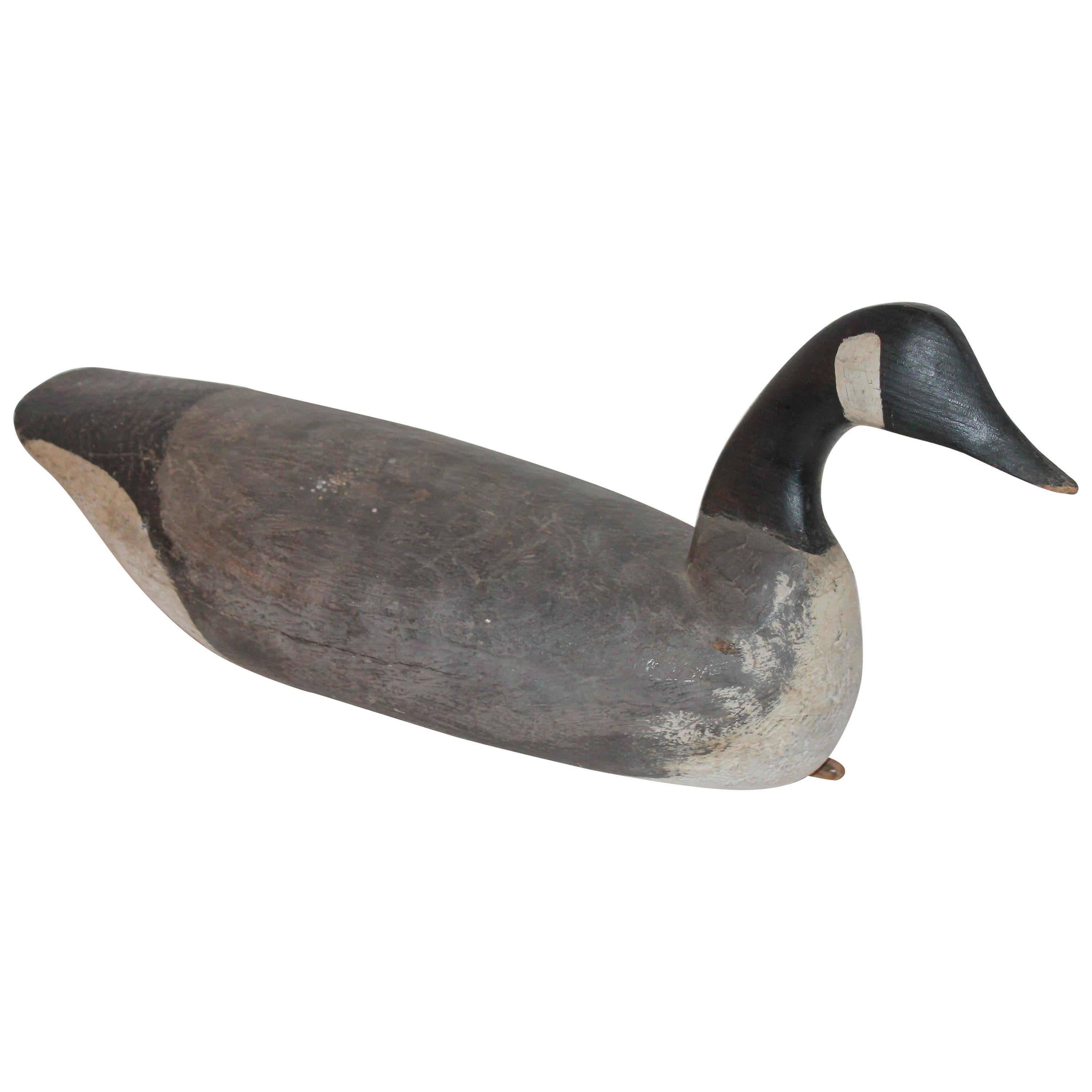 Canadian Goose Decoy/Early 20th Century Signed