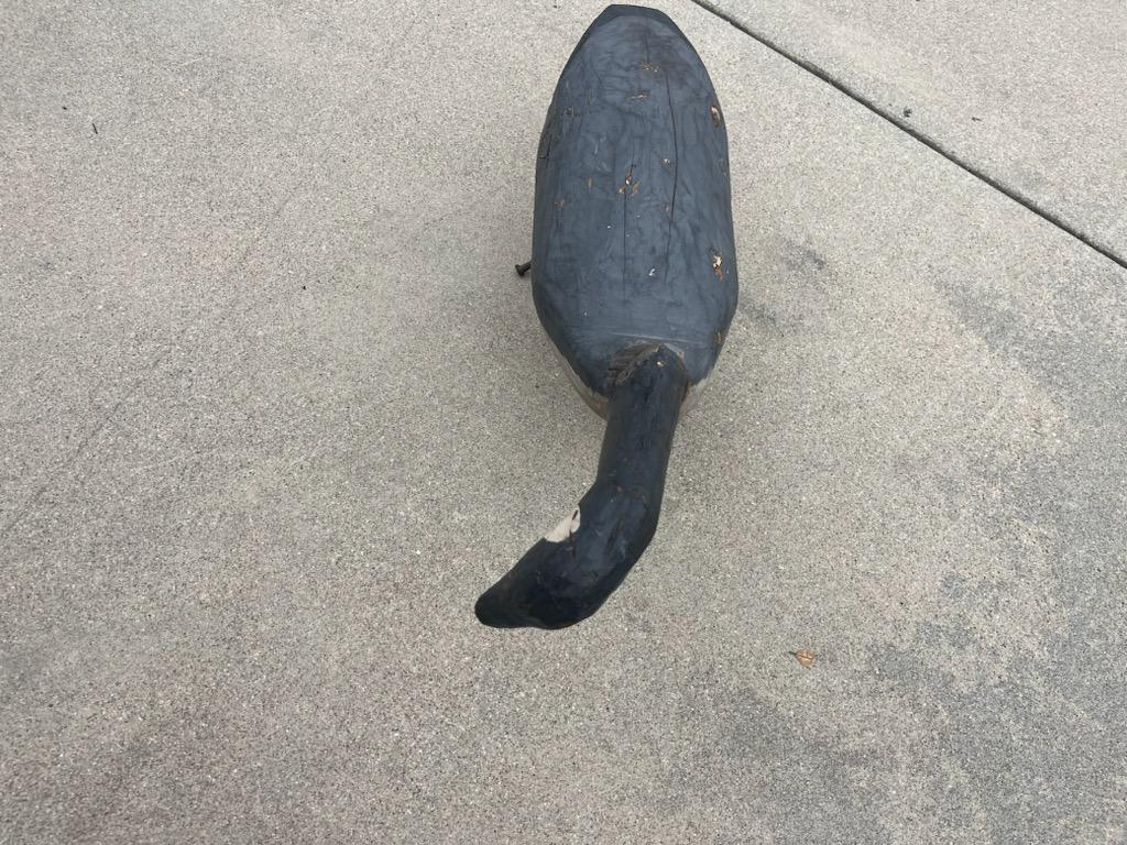 American Canadian Goose Decoy on Rod Nails For Sale