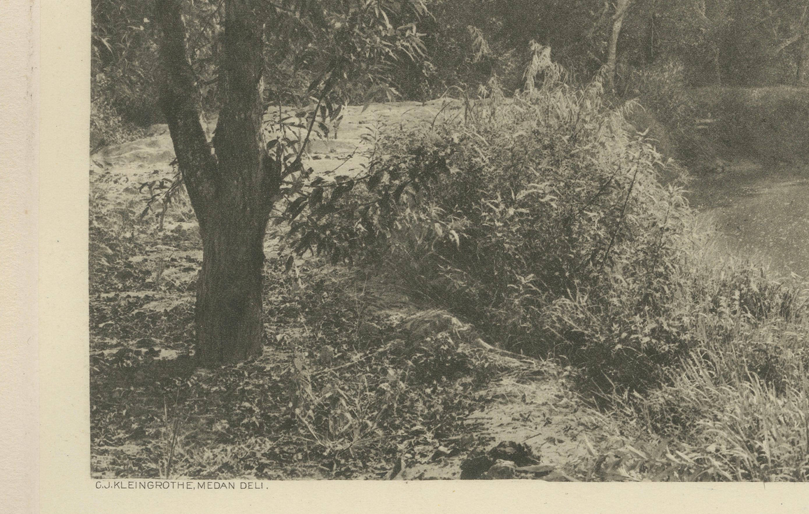 Néerlandais Canal à Loeboe Dalam, Sumatra, C.J Kleingrothe, Indes orientales néerlandaises c1910 en vente