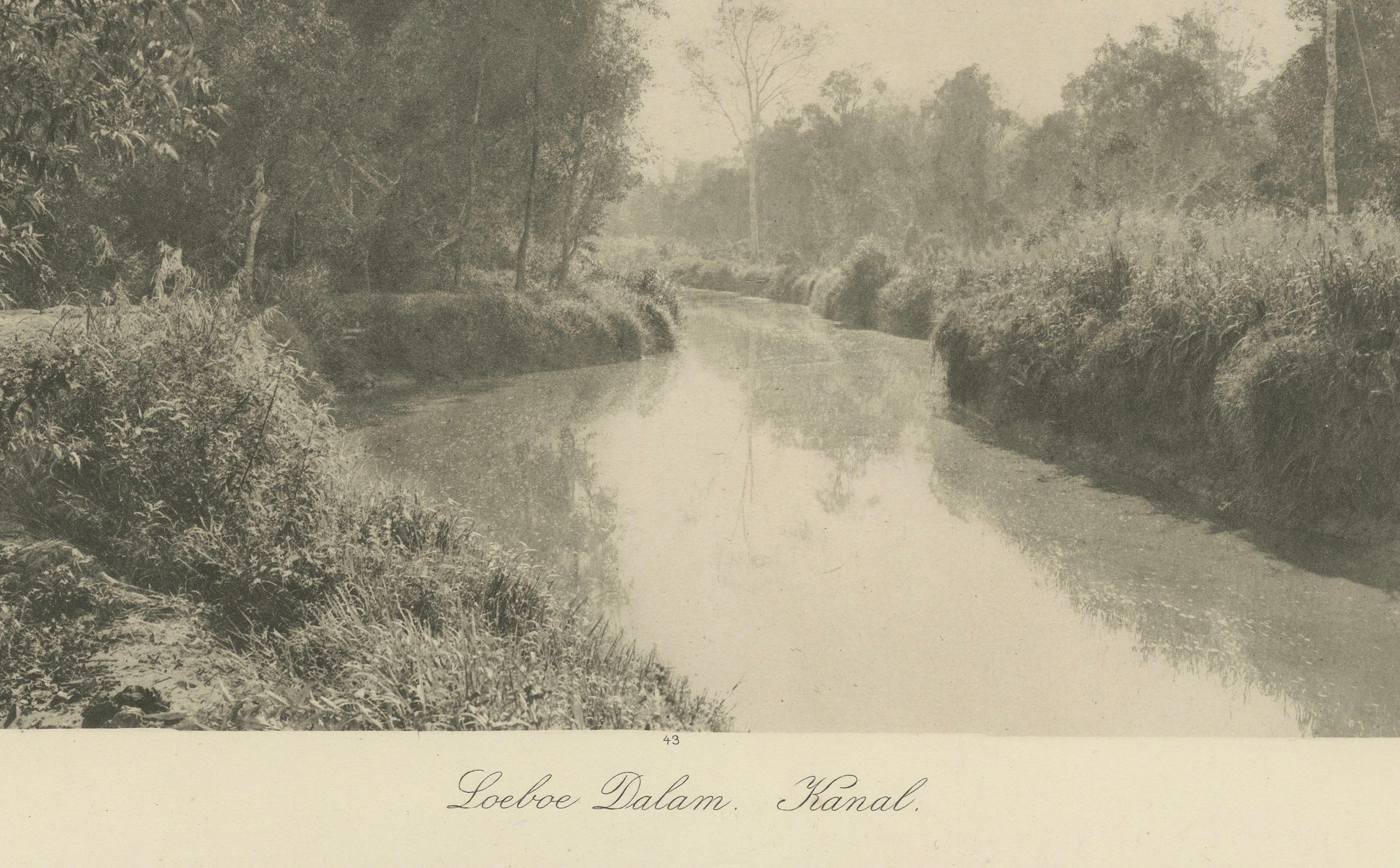 Canal à Loeboe Dalam, Sumatra, C.J Kleingrothe, Indes orientales néerlandaises c1910 Bon état - En vente à Langweer, NL