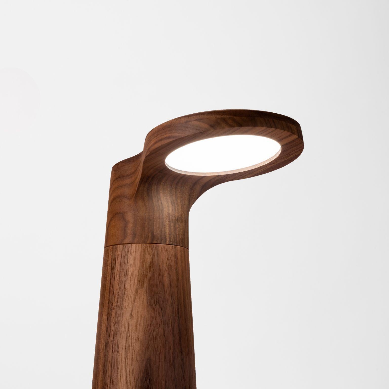 Modern Canaletto Walnut, Studio Light by Isato Prugger