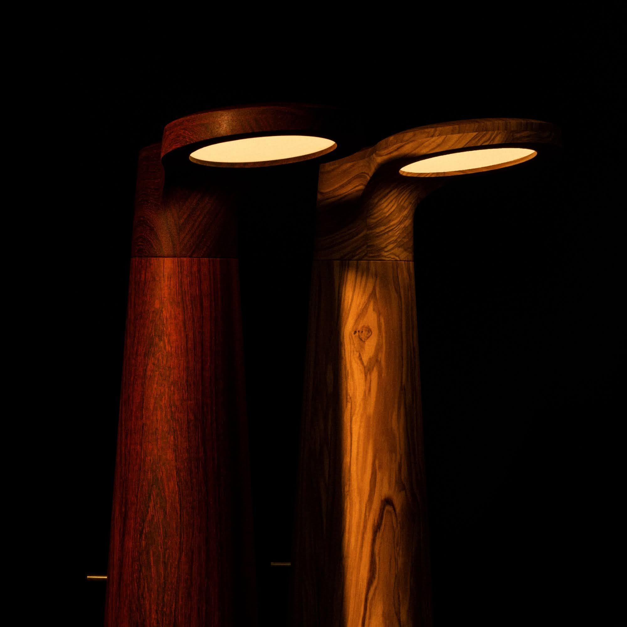 Canaletto Walnut, Studio Light by Isato Prugger For Sale 2