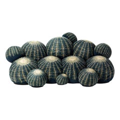 Sofá Canapé Cactus de Maurizio Galante