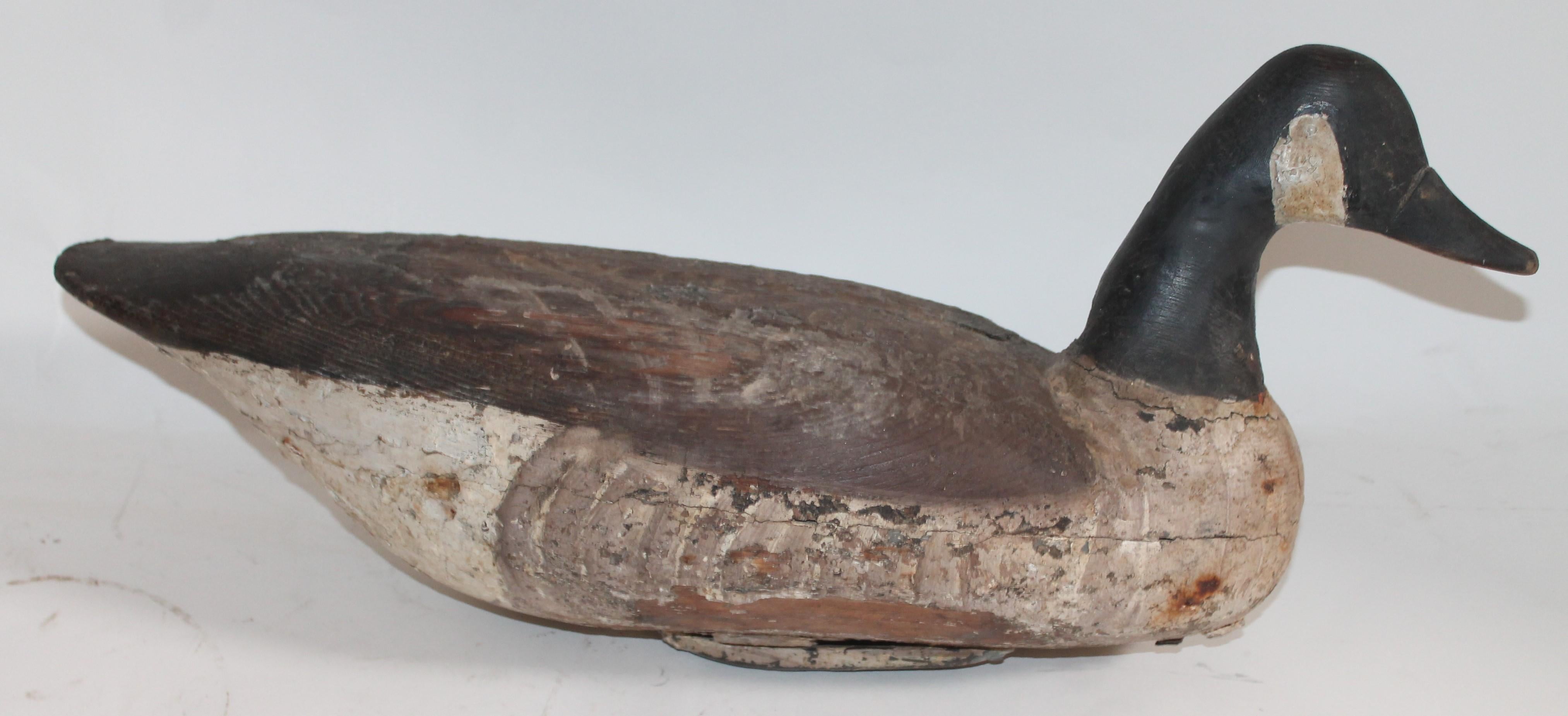 Canadian Goose - Hollow White Cedar FR Eastern Shore- Delmarva Peninsula Early 20th Century. 6693000 Studio 6/s Dewey Beach, Del. This decoy is in great untouched condition. It has the original large lead weighted bottom.