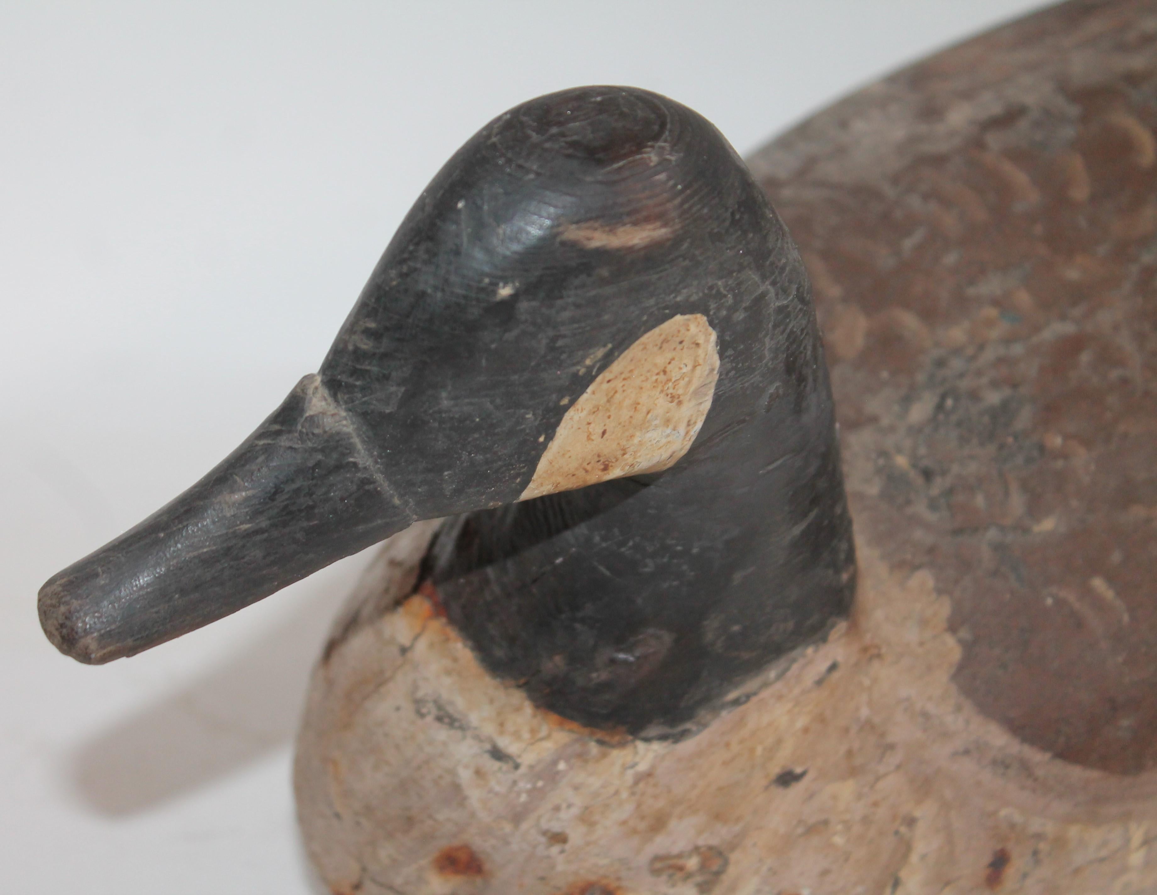 American Candian Goose in Original Painted Surface/Signed Provenance 