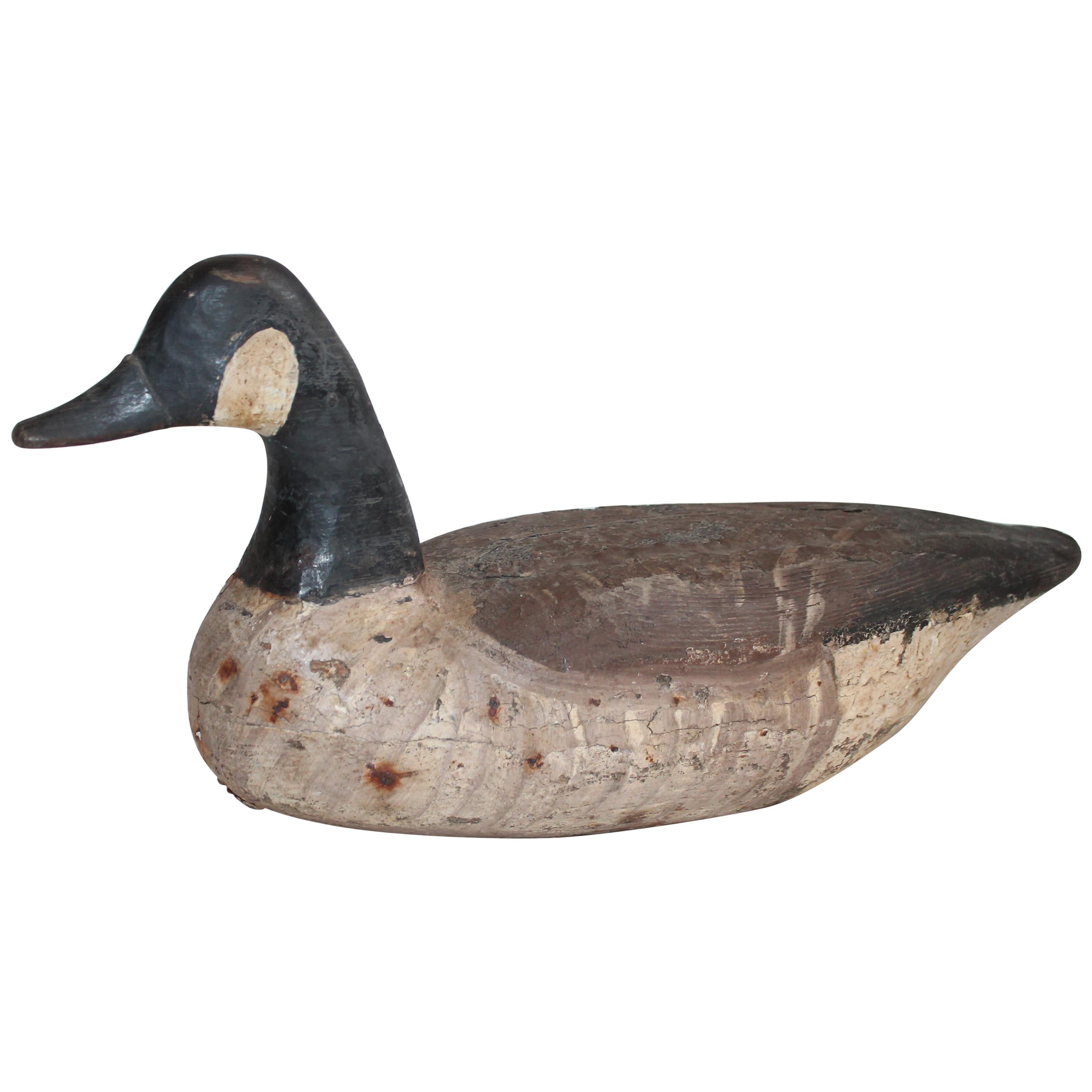 Candian Goose in Original Painted Surface/Signed Provenance 