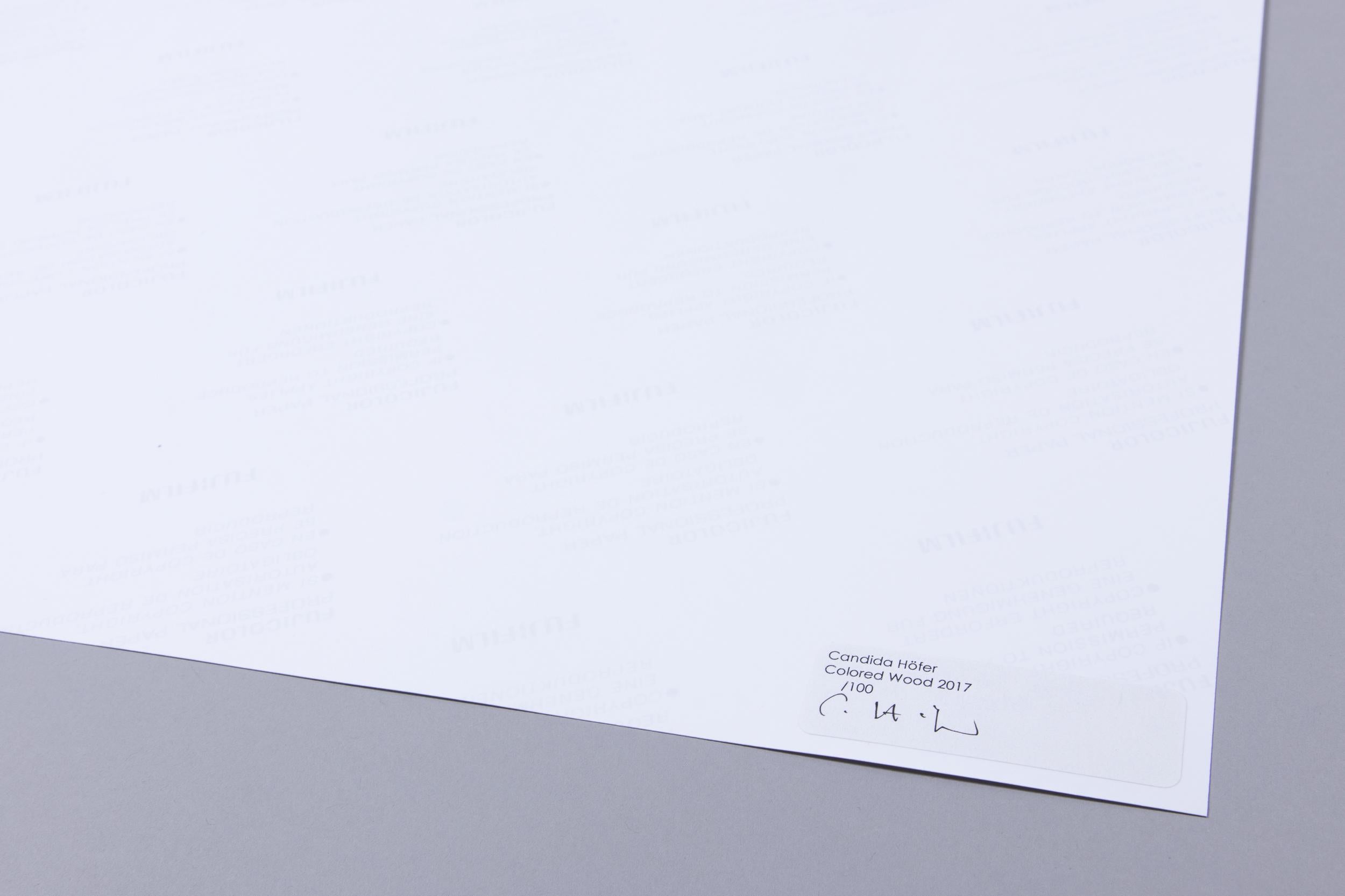 Candida Höfer (Allemande, née en 1944)
Bois coloré, 2017
Moyen : A.C.C.
Dimensions : 56 × 57,7 cm (22 × 22 7/10 in)
Édition de 100 exemplaires : signés et numérotés à la main au verso.
Condition : Mint